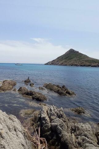 La presqu’île de Taillat, Ramatuelle (83)