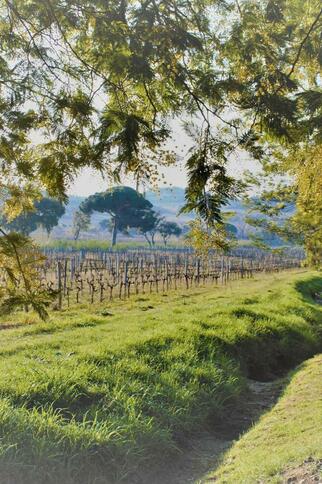 Tour à la 1/2 journée ou journée