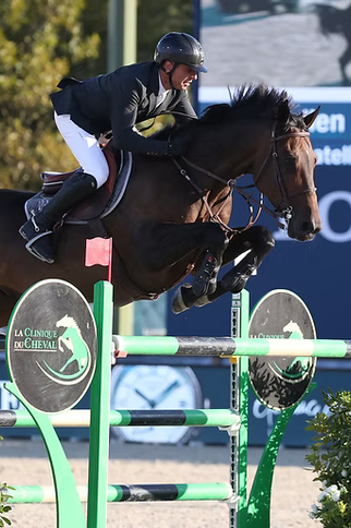 Tournois de Jumping