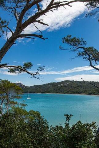 Journée à Porquerolles