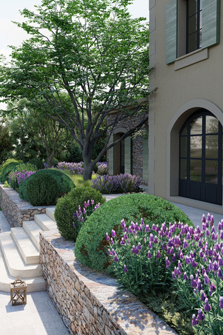 Projet Saint-Tropez 2021