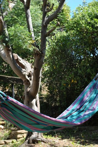 Les Mas du Canadel (M. Motte)