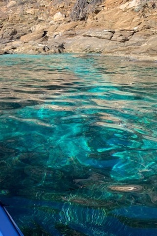 Villa La Rose des Vents