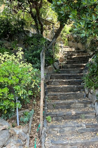 Villa Le Baou de Noé