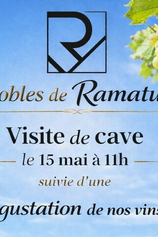 Vignobles de Ramatuelle