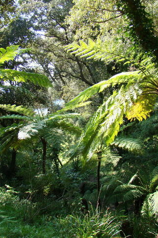 Amusez-vous en Méditerranée Porte des Maures