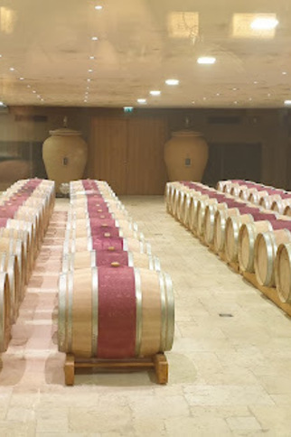 Visite et dégustation de vins