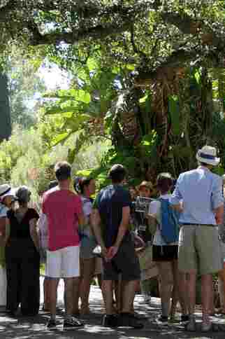 Visite guidée du Jardin des Méditerranées