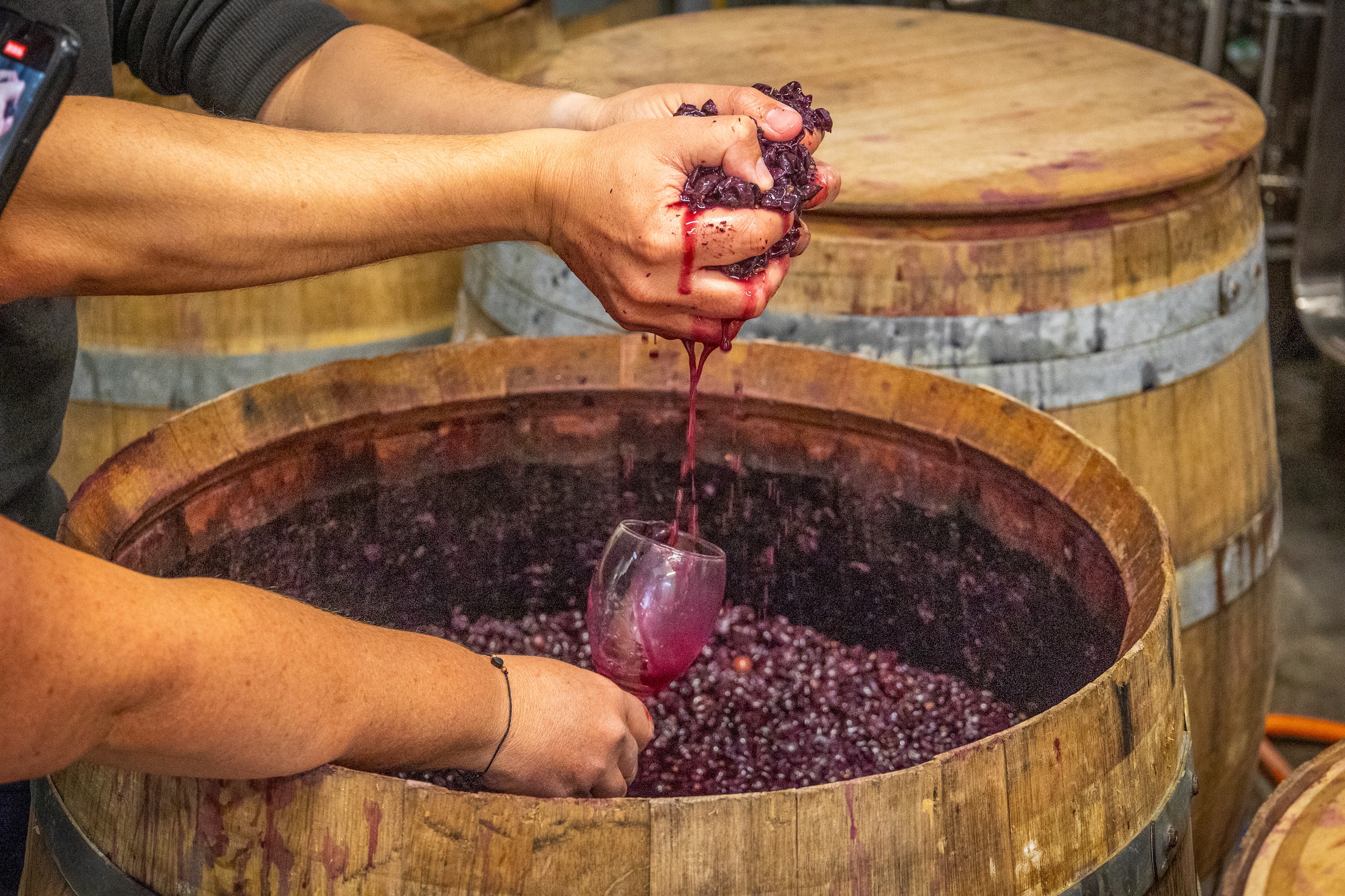 clos des b5.jpg