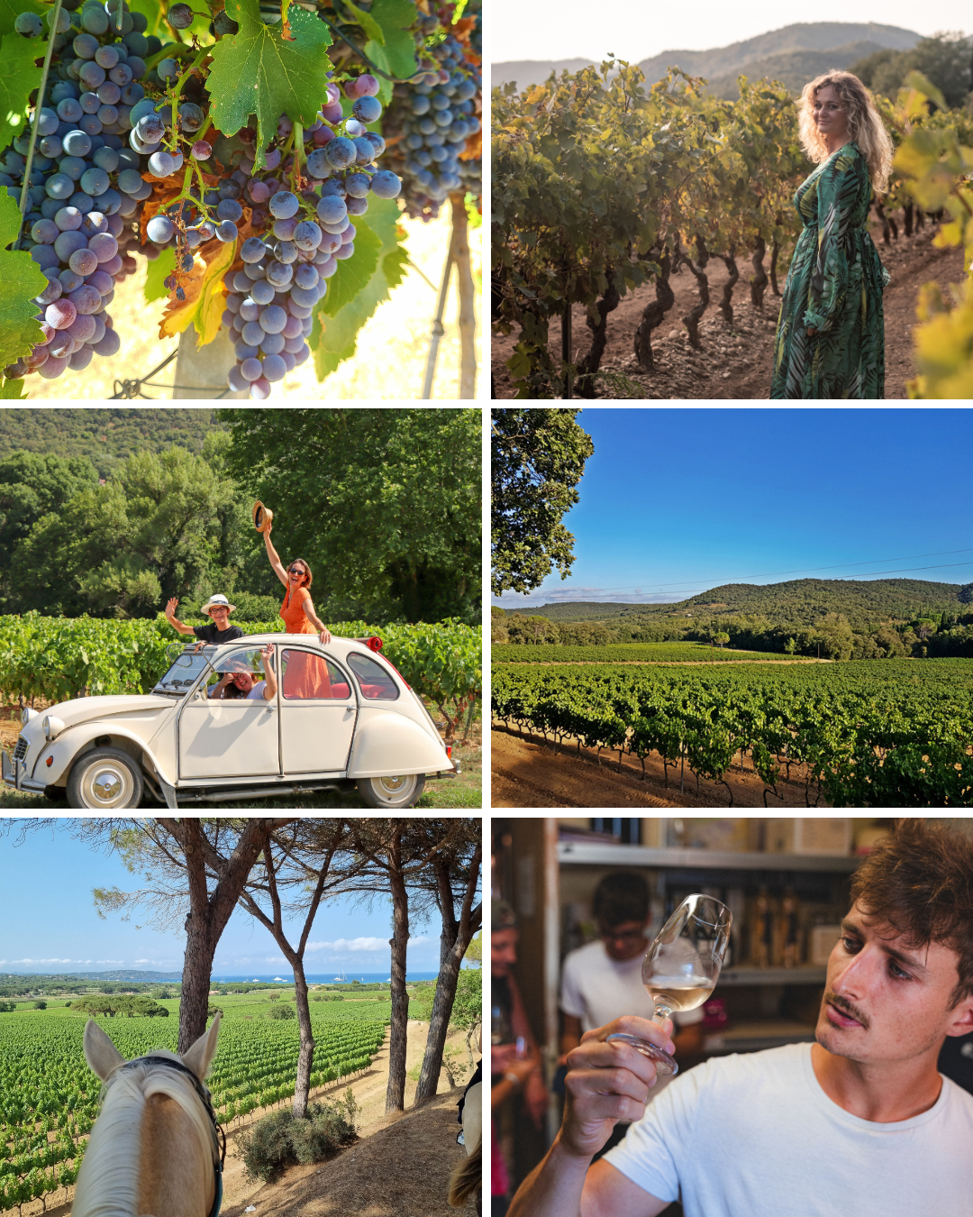 montage activités vin fb.png