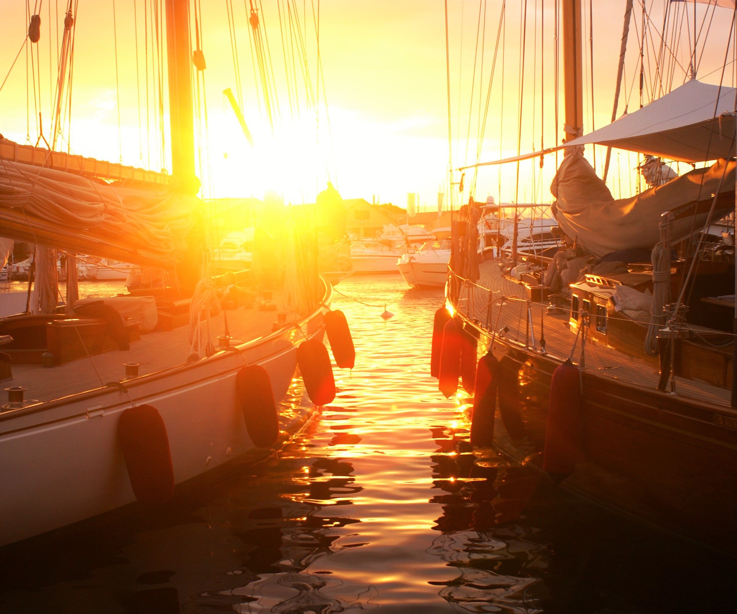Les Voiles de Saint-Tropez