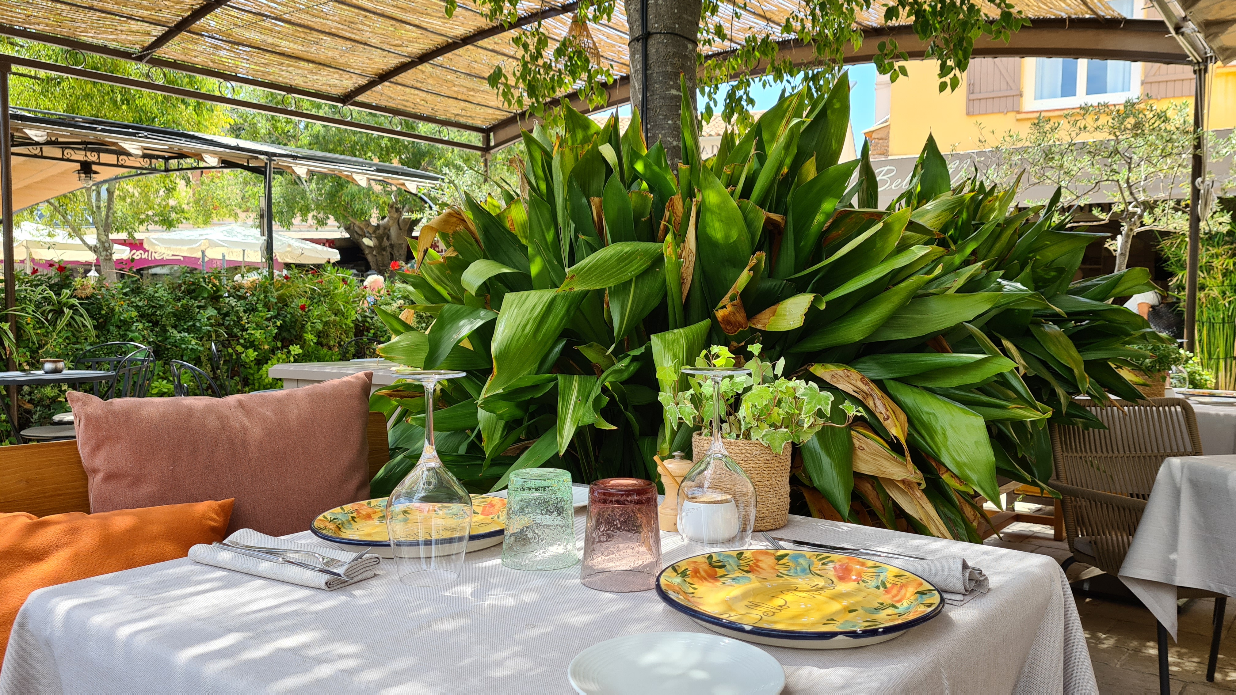 Gassin saveur bello visto aout 23 s.castor @golfe de saint tropez (2).jpg