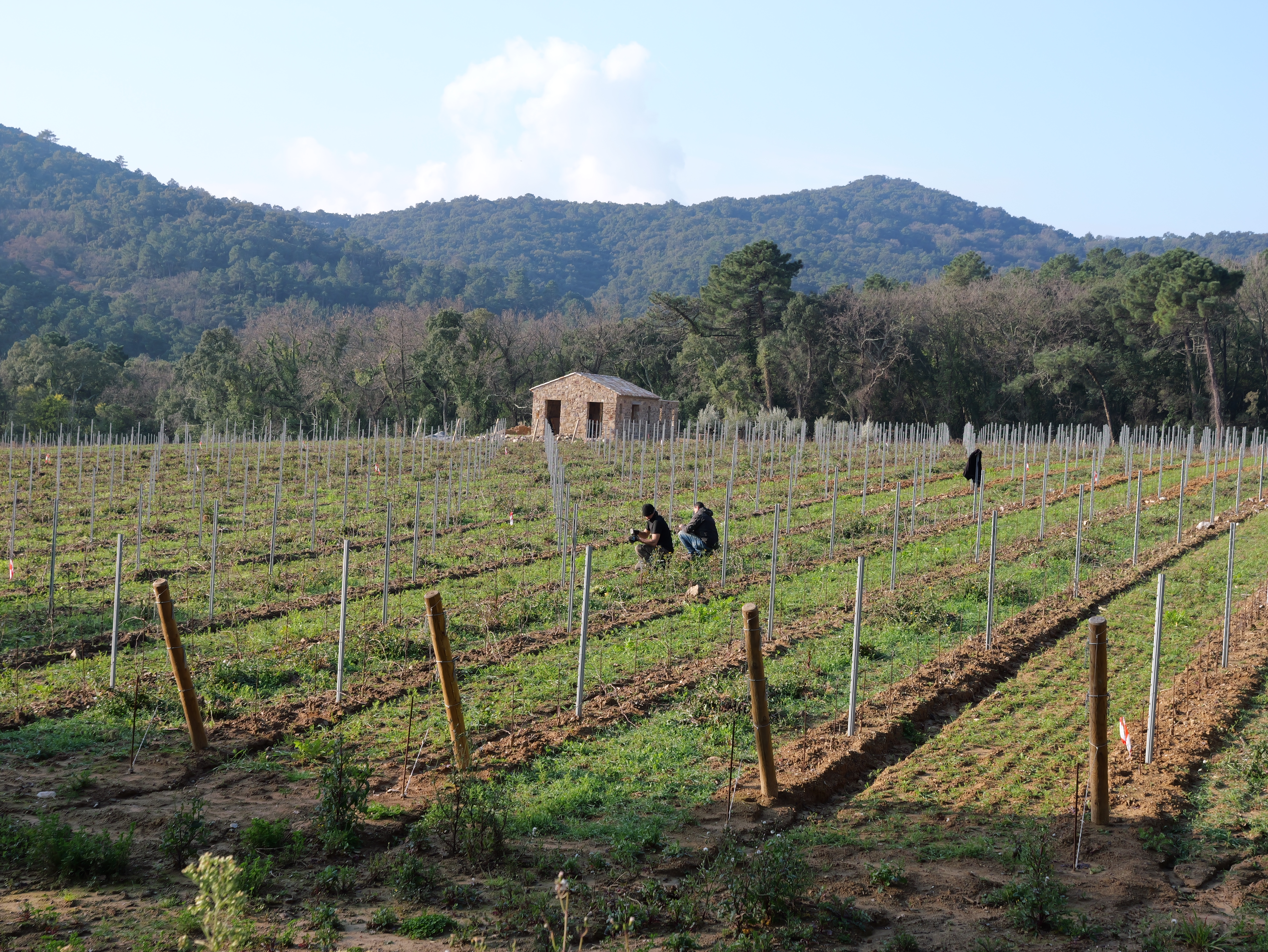 Hiver-Clos Mirages la mole  (1).JPG