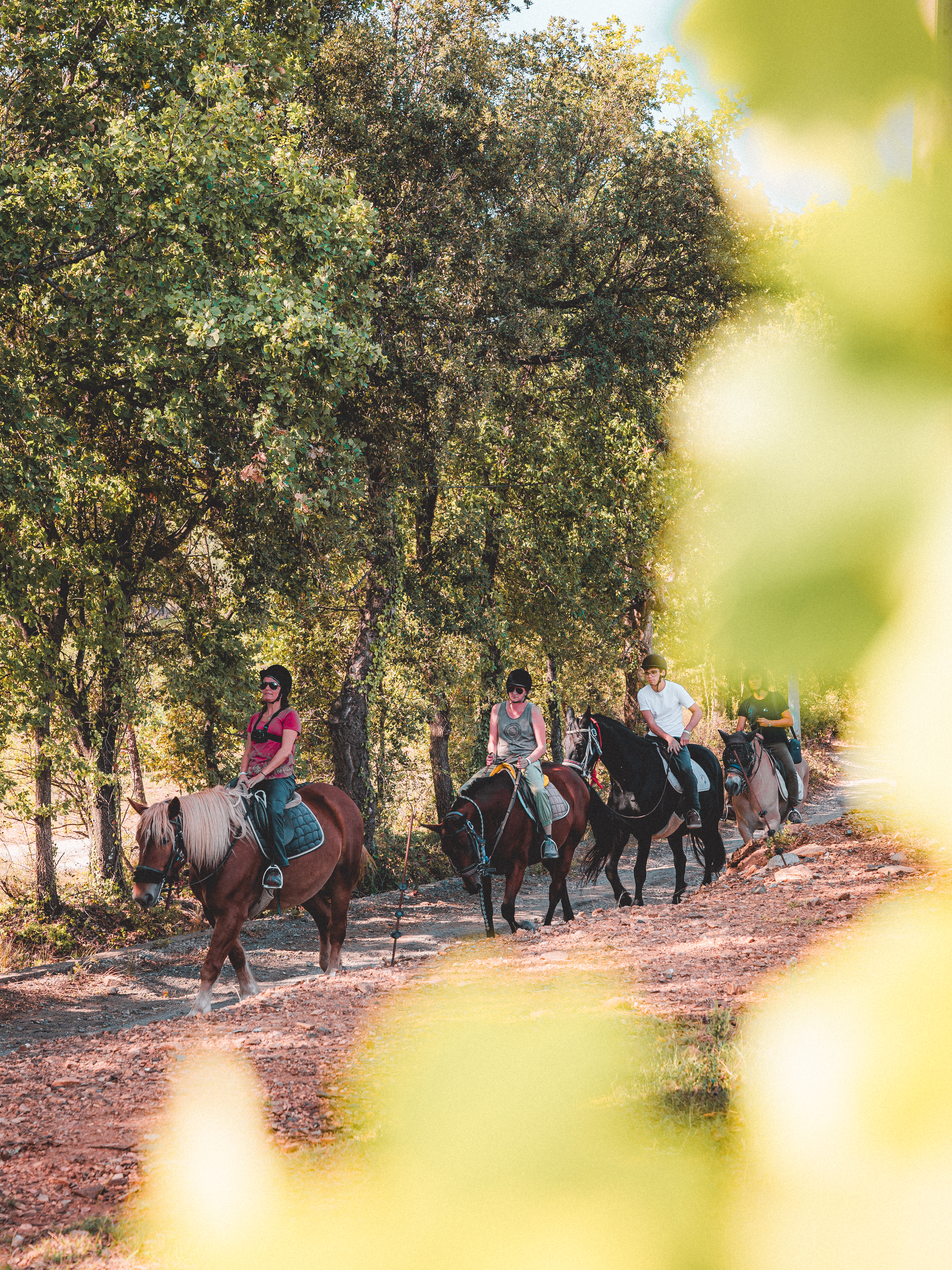 grimaud oct 23 ©lezbroz (2).jpg