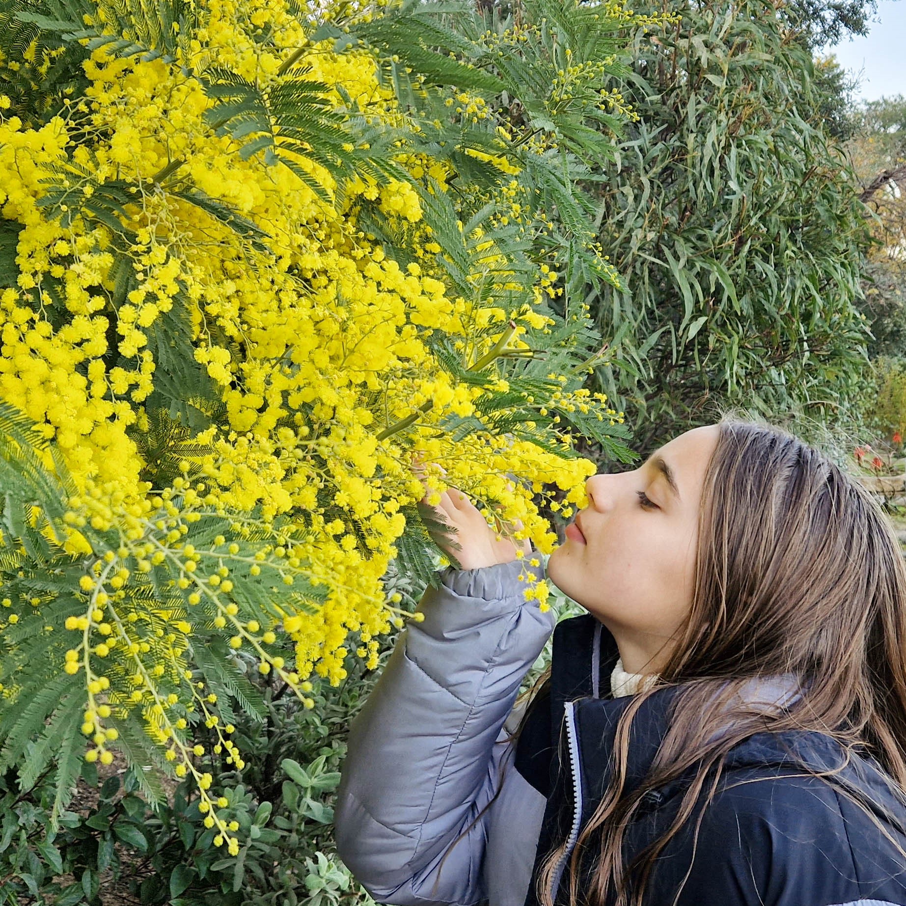 janv 23 © s.castor-4.jpg