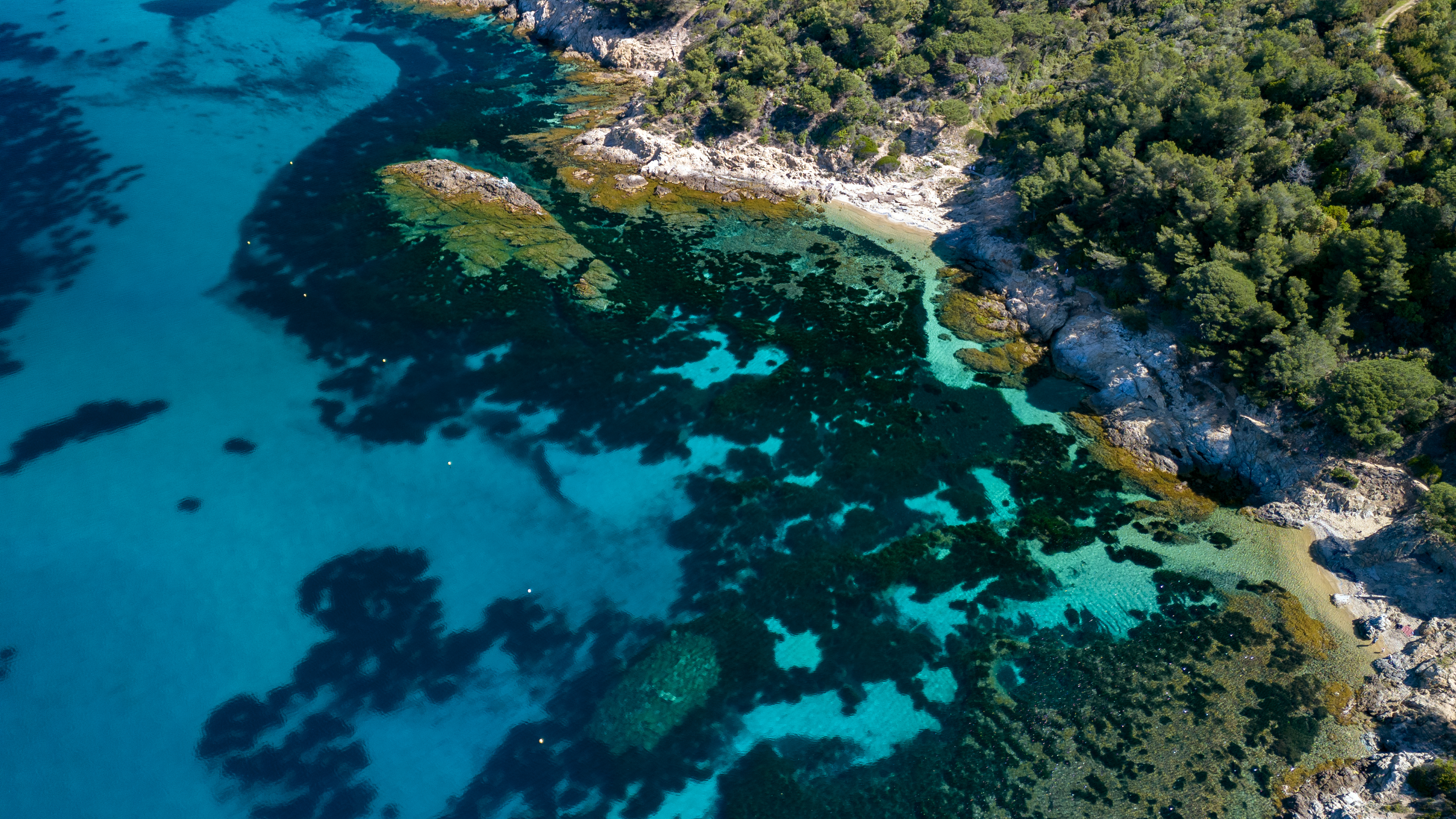 Plage de Jovat ©guillaumevoiturier.jpg