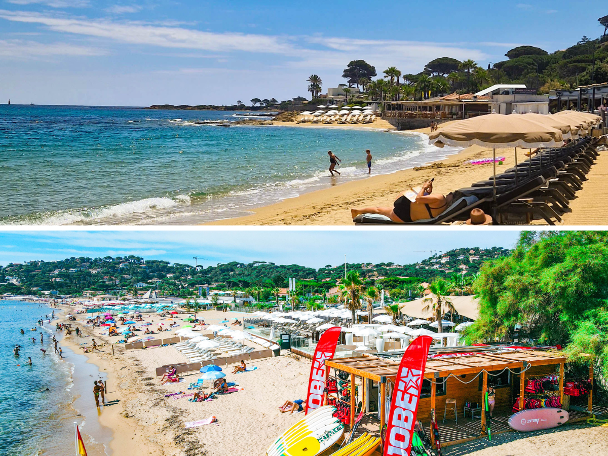 ste maxime nartelle.png